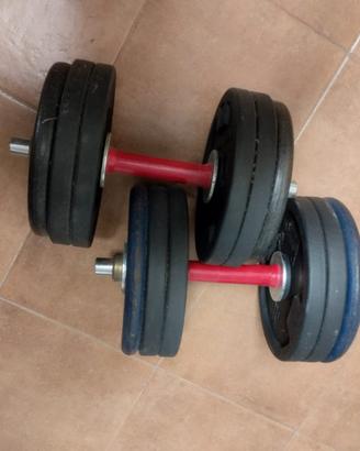 Pesi da palestra