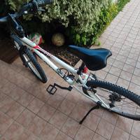 MTB st 100  rockrider da 24