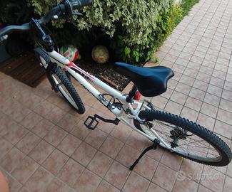 MTB st 100  rockrider da 24