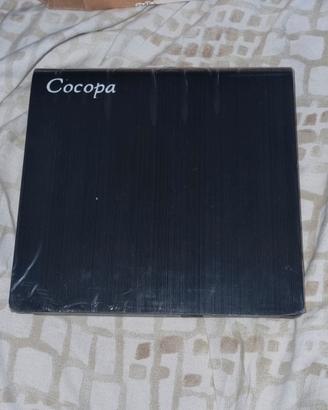 Masterizzatore DVD