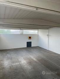 Capannone uso polifunzionale