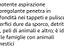 Immagine 4
