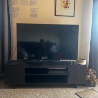 Mobile tv