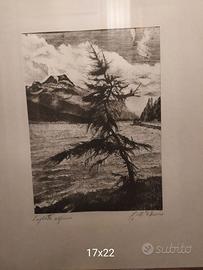 Due serigrafie su seta di  G.M. D'Amico cornici di