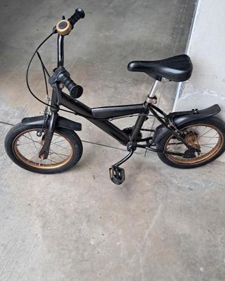 VERNICIATA A MANO BICI