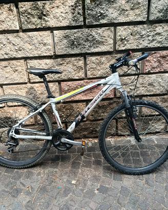 Mountain bike ragazzo