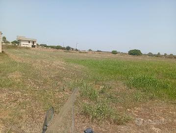 terreno edificabile agricolo