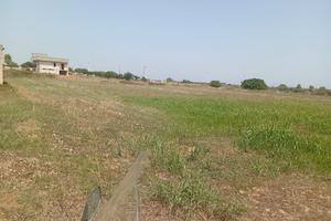 terreno edificabile agricolo