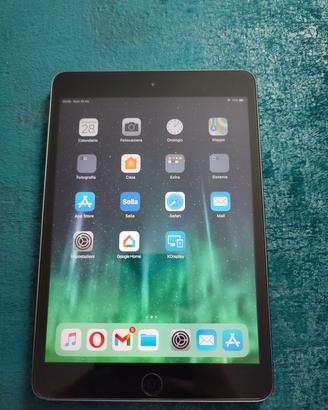 iPad mini 2 