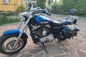 Sporster 1200C abs 