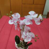 Orchidea finta ma assomiglia al vero