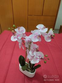 Orchidea finta ma assomiglia al vero