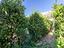 Immagine 26