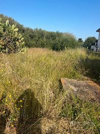 V/1372 Terreno edificabile