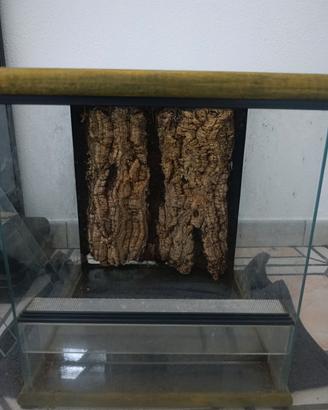 terrario creas 30x30 buone condizioni