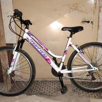 Mountain bike da donna
