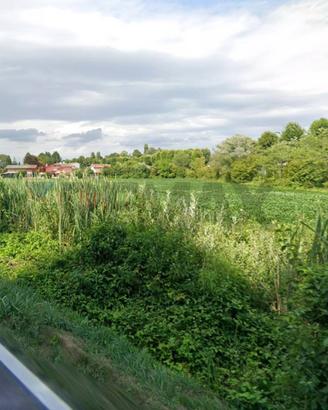 Terreno Edificabile - Cervignano del Friuli