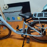 bicicletta elettrica 