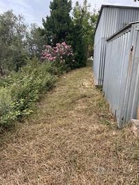 Terreno agricolo .CATTAFI