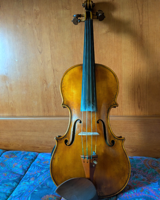 Violino