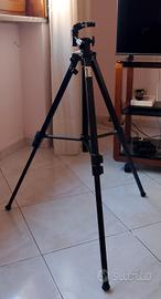 Treppiedi