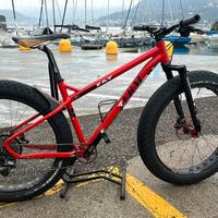 Fat bike