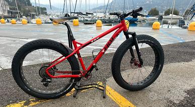 Fat bike