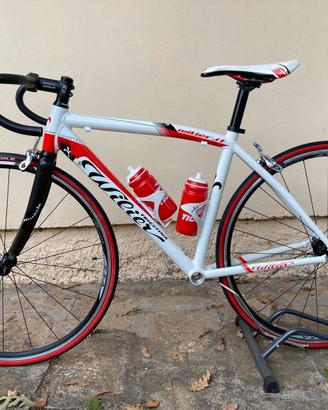 WILIER Donna
