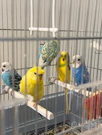 Villalba di Guidonia