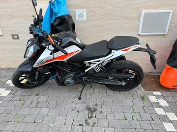 KTM Duke 390 del 2023