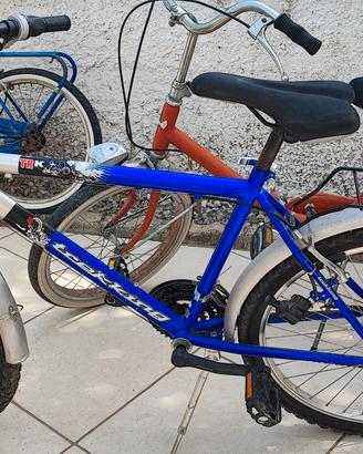 bici da ragazzo 