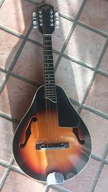 mandolino anni 70 mai suonato