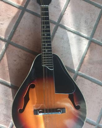 mandolino anni 70 mai suonato