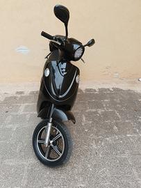 bicicletta elettrica 