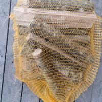 Legna Carpino Nero 10kg - Per Barbecue e Camino