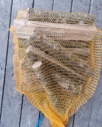 Legna Carpino Nero 10kg - Per Barbecue e Camino