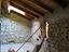 Immagine 23
