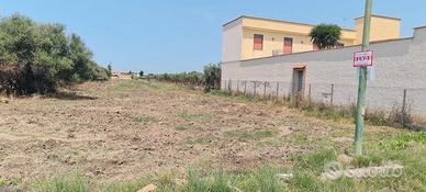 Selinunte terreno edificabile