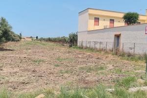 Selinunte terreno edificabile