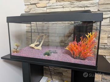 Acquario 54l con mobile