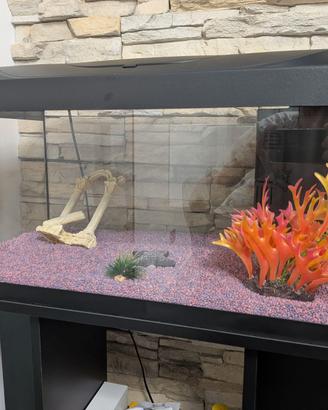 Acquario 54l con mobile
