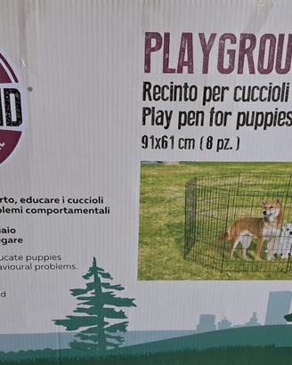 BOX per cane