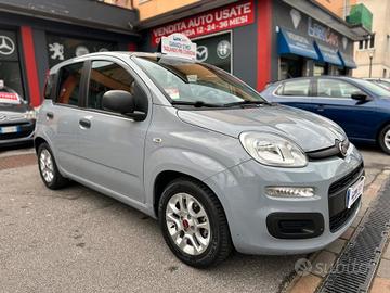 Fiat Panda 1.0 FireFly S&S Hybrid Launch Edition n