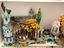 Immagine 6