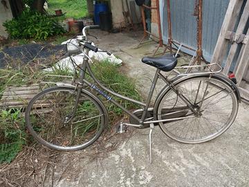 Bicicletta da donna
