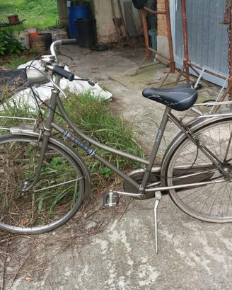 Bicicletta da donna
