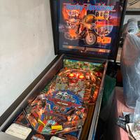 Flipper Harley Davidson