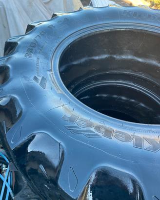 Gomme agricole