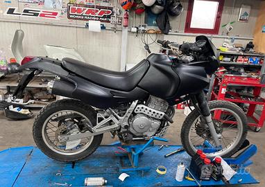 Honda dominator 650 cc