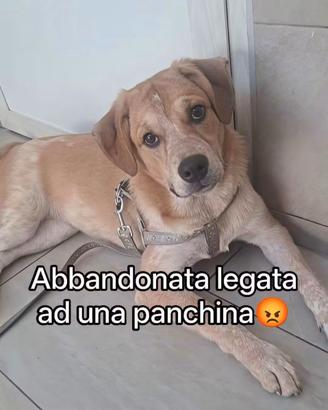 Buttata fuori di casa